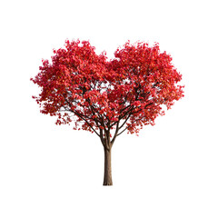 Fototapeta premium Red heart tree isolated on white or transparent background, png