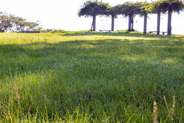 朝日に照らされるベンチ