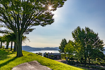 新緑の公園から見る海