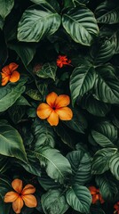 Fototapeta premium Lush tropical foliage with orange flowers