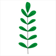 Spring green plant branch hand drawn. Vector stock illustration. Easter decoration. Floral branch. Hand drawn elements. Good for greeting cards, invitations, flyers and other graphic design. leaves