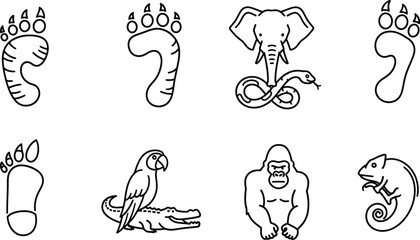 Obraz premium Vector art of a set of animal footprints and animals, including elephant, snake, parrot, crocodile, gorilla, and chameleon in vector format