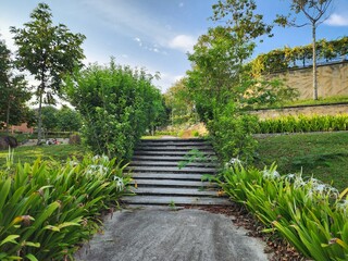 Lush Garden Pathway with Greenery and Vibrant Vegetation