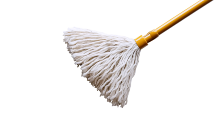 Long Reach Floor Mop