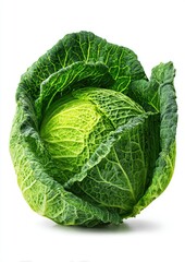 Fresh savoy cabbage head, vibrant green leaves