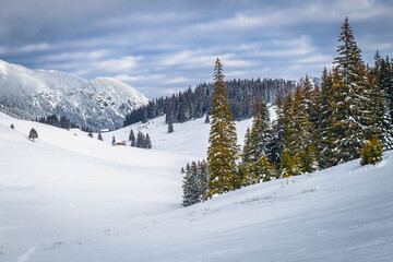 Winter landscape with really snowy wilderness in Carpathians, Romania