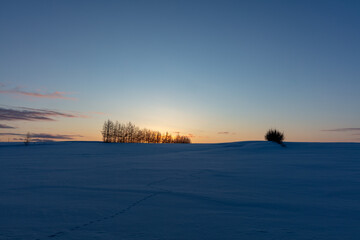 Snow fields and forests at dusk