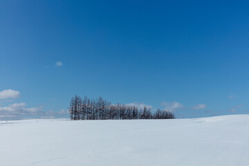 Sunny winter hills and forests