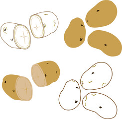 Potato Set – Whole and Cut Variations | Vegetable Illustration | EPS