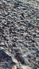 Sea Foam Texture – Ocean Waves Bubbles Abstract Background Wallpaper