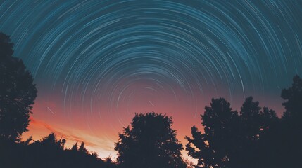 Star trails over trees at twilight