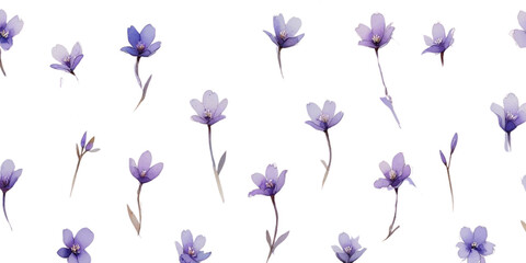 a background/wallpaper with beautiful purple watercolor flowers isolated on a transparent background