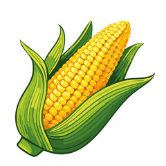 Corn cob vector color illustration. Image of agricultural crop on isolated background for packaging and design