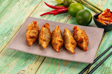 Asian fried stuffed dumplings gyoza