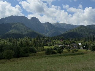 Scenic Mountain Valley with Village and Forested Slopes