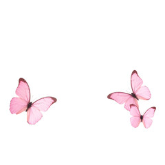 Pink butterfly background with pink butterflies fluttering around. © Spasics Designer 