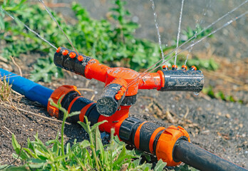 Close up photo of grass with sprinkler