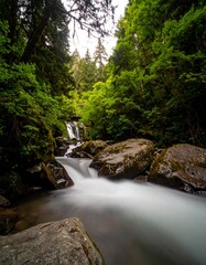 Obraz premium Serene waterfall cascading through lush green forest, flowing over smooth rocks into a calm pool