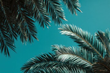 Lush Palm Leaves Against Bright Blue Sky Under Natural Sunlight
