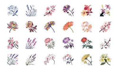Set of 24 Beautiful Colorful Floral Illustrations Featuring Lavender, Lotus, Roses, Daisies, Gerbera, Hibiscus, Lilies, Peonies, Orchids, Cherry Blossoms, and Plumeria Flowers in Elegant Botanical Ar
