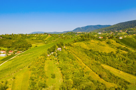 Picturesque landscape in Plesivica in Croatia, popular Croatian wine region and tourist destination