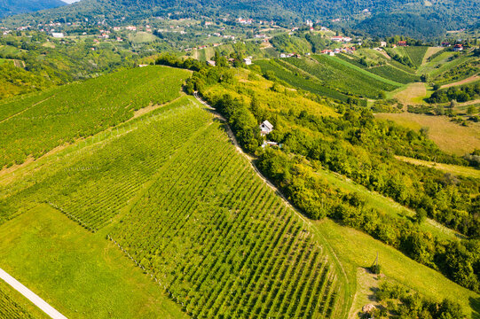Picturesque landscape in Plesivica in Croatia, popular Croatian wine region and tourist destination