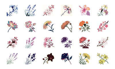 Set of 24 Beautiful Colorful Floral Illustrations Featuring Lavender, Lotus, Roses, Daisies, Gerbera, Hibiscus, Lilies, Peonies, Orchids, Cherry Blossoms, and Plumeria Flowers in Elegant Botanical Ar