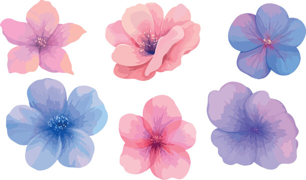 Collection of delicate watercolor flowers in soft pink blue and purple hues on white background