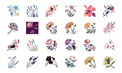 Set of 24 Beautiful Colorful Floral Illustrations Featuring Lavender, Lotus, Roses, Daisies, Gerbera, Hibiscus, Lilies, Peonies, Orchids, Cherry Blossoms, and Plumeria Flowers in Elegant Botanical Ar