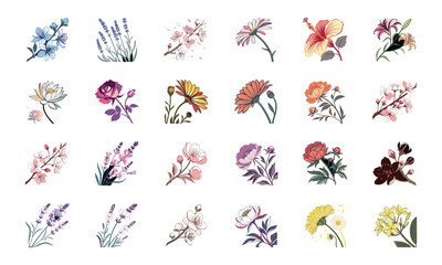 Set of 24 Beautiful Colorful Floral Illustrations Featuring Lavender, Lotus, Roses, Daisies, Gerbera, Hibiscus, Lilies, Peonies, Orchids, Cherry Blossoms, and Plumeria Flowers in Elegant Botanical Ar