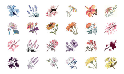 Set of 24 Beautiful Colorful Floral Illustrations Featuring Lavender, Lotus, Roses, Daisies, Gerbera, Hibiscus, Lilies, Peonies, Orchids, Cherry Blossoms, and Plumeria Flowers in Elegant Botanical Ar