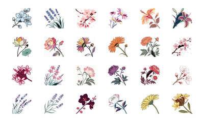 Set of 24 Beautiful Colorful Floral Illustrations Featuring Lavender, Lotus, Roses, Daisies, Gerbera, Hibiscus, Lilies, Peonies, Orchids, Cherry Blossoms, and Plumeria Flowers in Elegant Botanical Ar