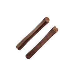 A watercolor illustration of two cinnamon sticks on a white background. The detailed artwork captures their warm brown color and textured surface, making it perfect for food, spice, or baking themes