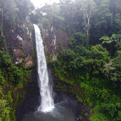 Tall waterfall cascading down a rocky cliff, surrounded by lush green tropical rainforest