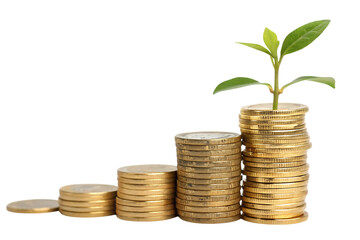 Stacks of coins in ascending order with a sprout growing from the tallest stack on black background created with generated ai