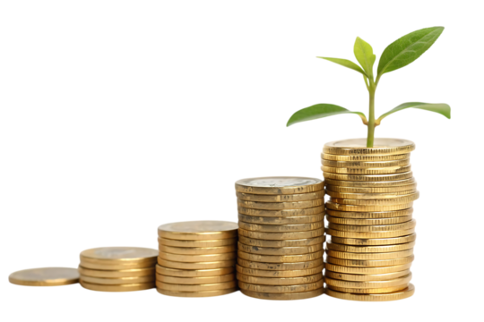 Stacks of coins in ascending order with a sprout growing from the tallest stack on black background created with generated ai