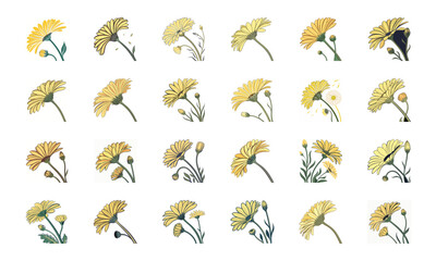 Set of 24 Beautiful Colorful Floral Illustrations Featuring Lavender, Lotus, Roses, Daisies, Gerbera, Hibiscus, Lilies, Peonies, Orchids, Cherry Blossoms, and Plumeria Flowers in Elegant Botanical Ar