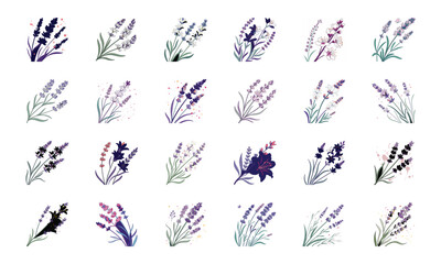 Set of 24 Beautiful Colorful Floral Illustrations Featuring Lavender, Lotus, Roses, Daisies, Gerbera, Hibiscus, Lilies, Peonies, Orchids, Cherry Blossoms, and Plumeria Flowers in Elegant Botanical Ar