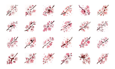 Set of 24 Beautiful Colorful Floral Illustrations Featuring Lavender, Lotus, Roses, Daisies, Gerbera, Hibiscus, Lilies, Peonies, Orchids, Cherry Blossoms, and Plumeria Flowers in Elegant Botanical Ar