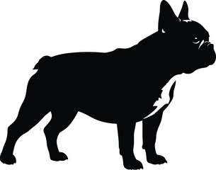 French Bulldog silhouette vector illustration, black dog outline graphic, pet breed design art isolated on white