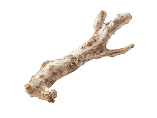 Fototapeta premium Weathered driftwood branch isolated on black background, Isolated On White Background, Png Transparent