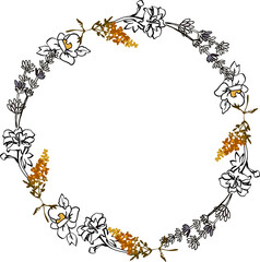 Composition - meadow, field and garden flowers on white background. Botanical digital illustration in modern flat style with black outline. Perfect for weddings, birthdays, branding