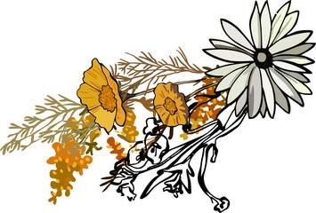Composition - meadow, field and garden flowers on white background. Botanical digital illustration in modern flat style with black outline. Perfect for weddings, birthdays, branding
