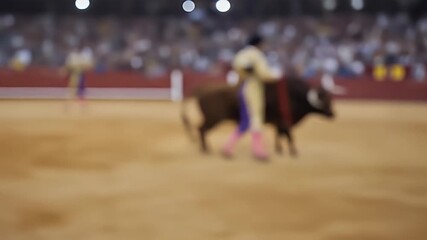 Ornate Matador Suit Bullfight Arena Action