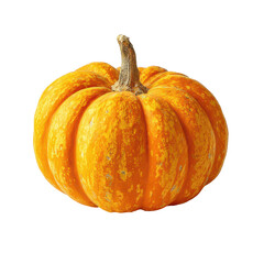 Bright orange pumpkin ready for autumn harvest decoration and seasonal celebrations in a farm setting during the day