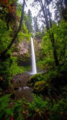 Tall waterfall cascading through lush green forest, mossy rocks at base