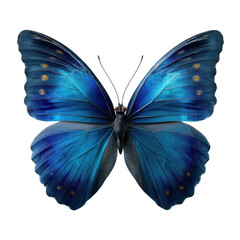 Fototapeta premium Blue butterfly with striking wings on a white background captures nature's beauty