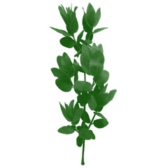 Vibrant Greenery Branch with Leaves