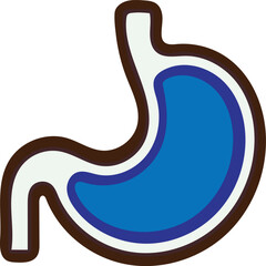 Obraz premium stomach