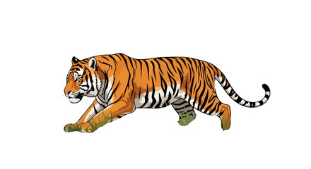 Obraz premium majestic tiger in motion transparent background vector illustration